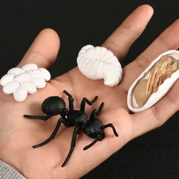 Ação quente e Brinquedos Figura Animais silvestres PVC de tartarugas marinhas Formiga Sapo Modelo de Boneca Colecionável Figura Coleção Para a Criança as Crianças do Presente