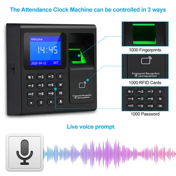 Biométrico de impressão digital RFID Controle de Acesso Sistema de Teclado Eletrônico USB Relógio de Tempo Gravador, Máquina de Atendimento +10 Pingentes Cartão