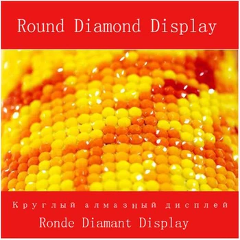 Completo Quadrado/Redondo Broca 5D DIY Diamante Pintura 