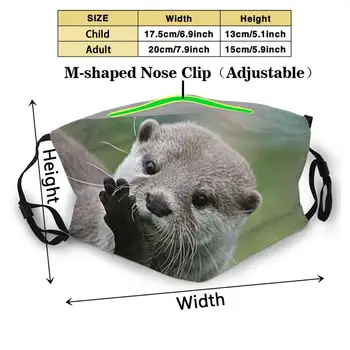 Lontra Sonhos Anti-Pó De Máscara Facial Com Filtro Lavável ReusableOtter Animais Animais Animais Selvagens Da Natureza