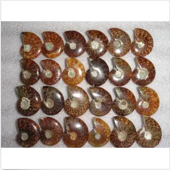 Natural de conchas polidas Jade Padrão Amonita Fósseis Madagascar -1PC